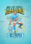 Haaland The Destroyer T-Shirt Teal